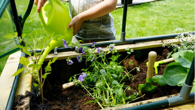 Amusant et éducatif : un potager pour enfants